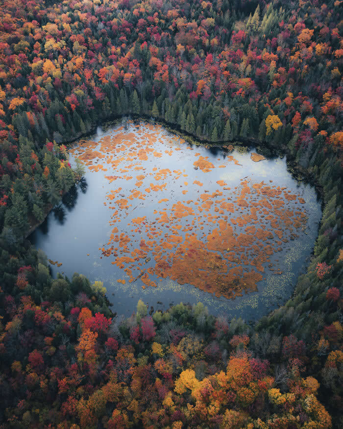 2025 International Aerial Photo Awards Winners