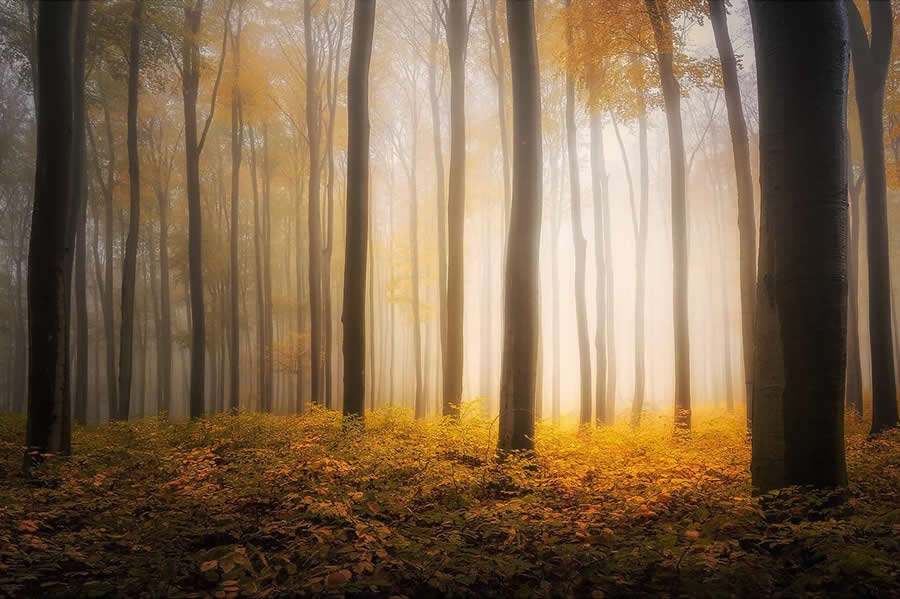 Landscape Photography by Radoslav Cernicky