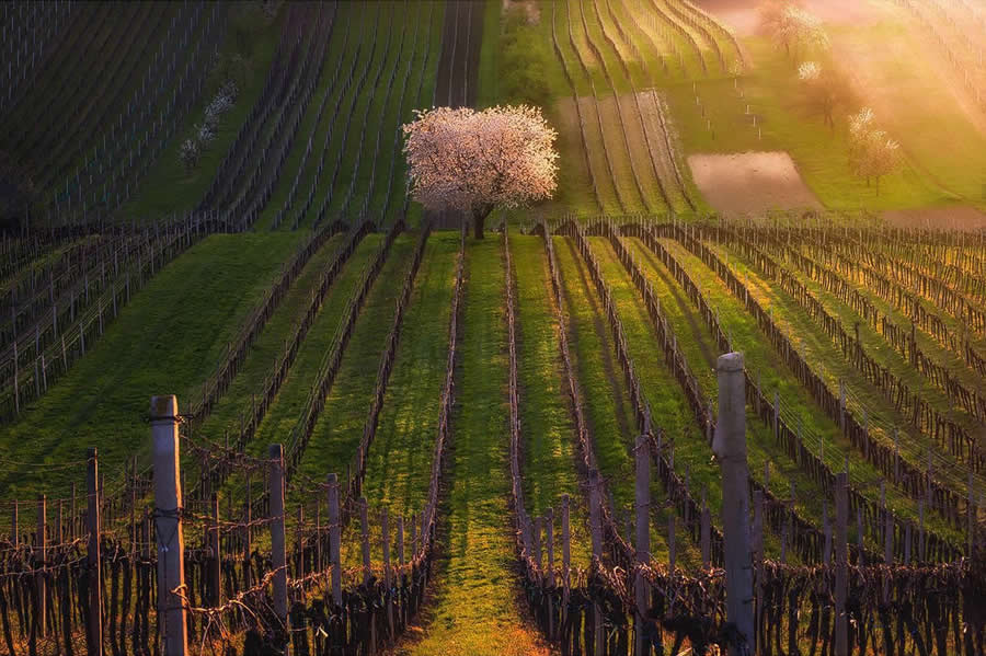 Landscape Photography by Radoslav Cernicky