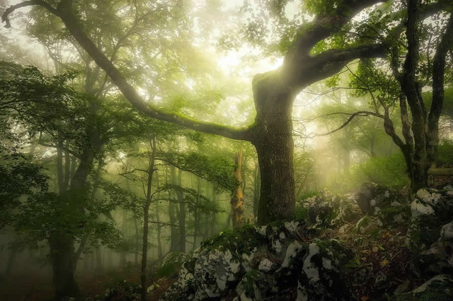 Landscape Photography by Radoslav Cernicky