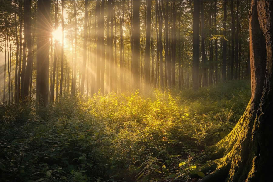 Landscape Photography by Radoslav Cernicky