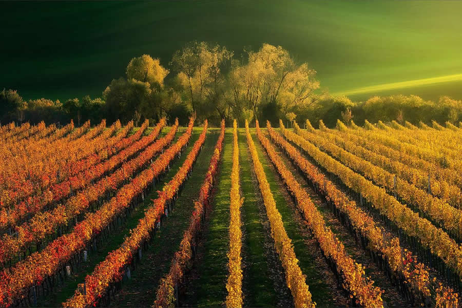 Landscape Photography by Radoslav Cernicky