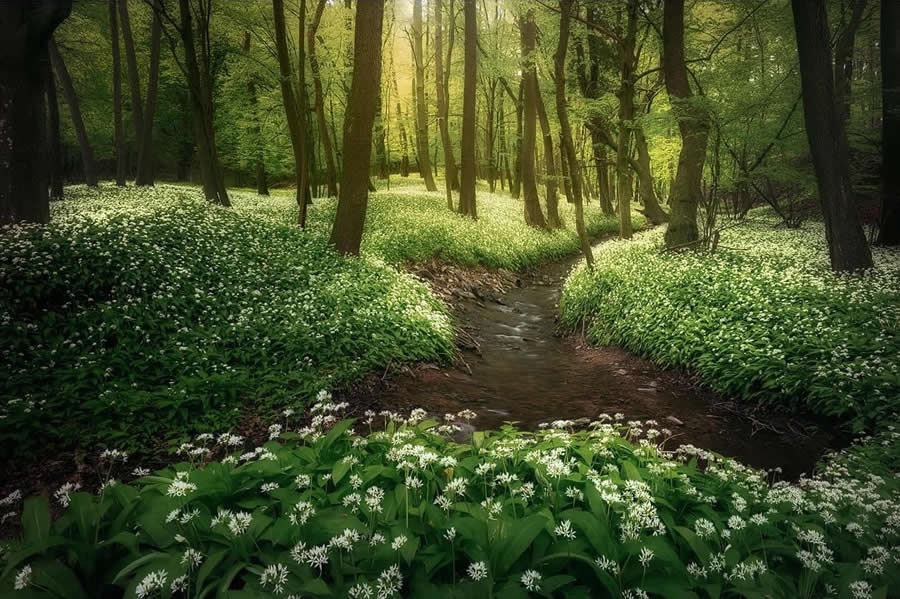 Landscape Photography by Radoslav Cernicky