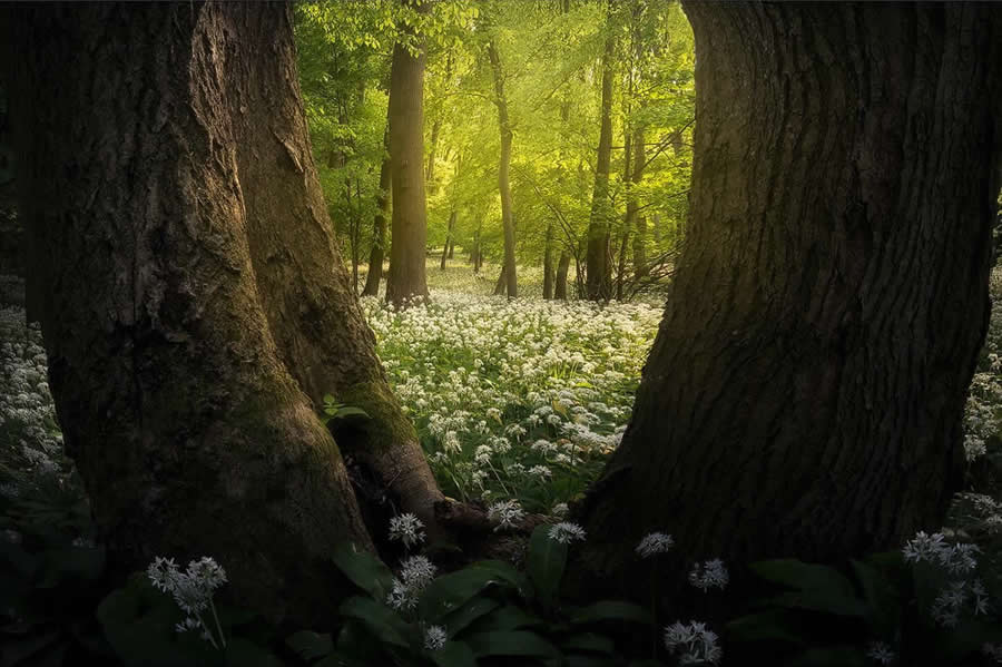 Landscape Photography by Radoslav Cernicky