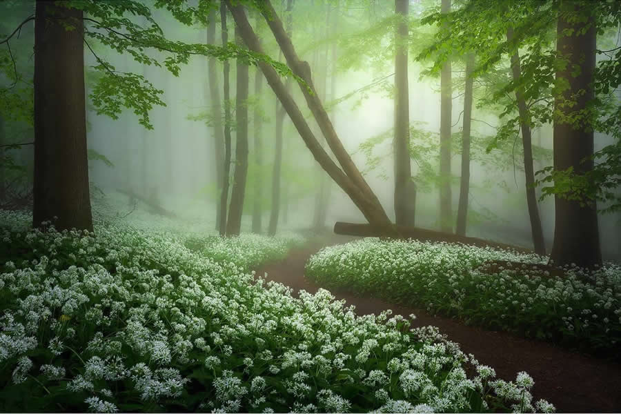 Landscape Photography by Radoslav Cernicky