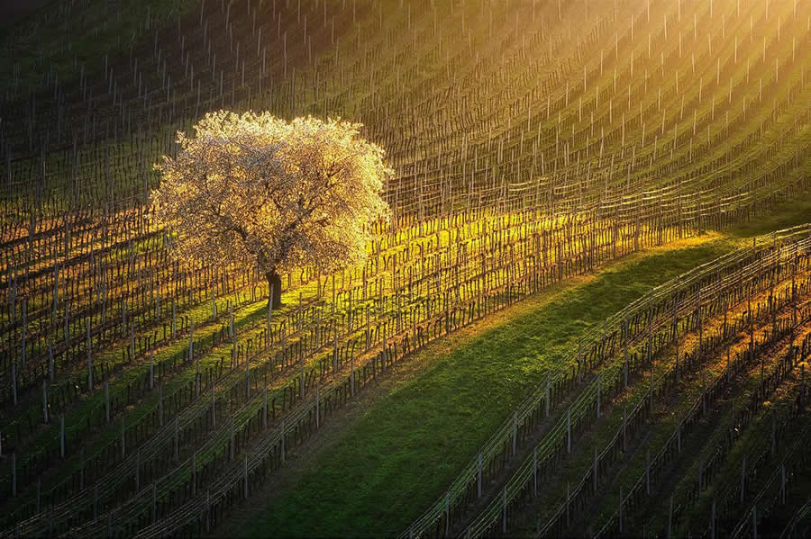 Landscape Photography by Radoslav Cernicky