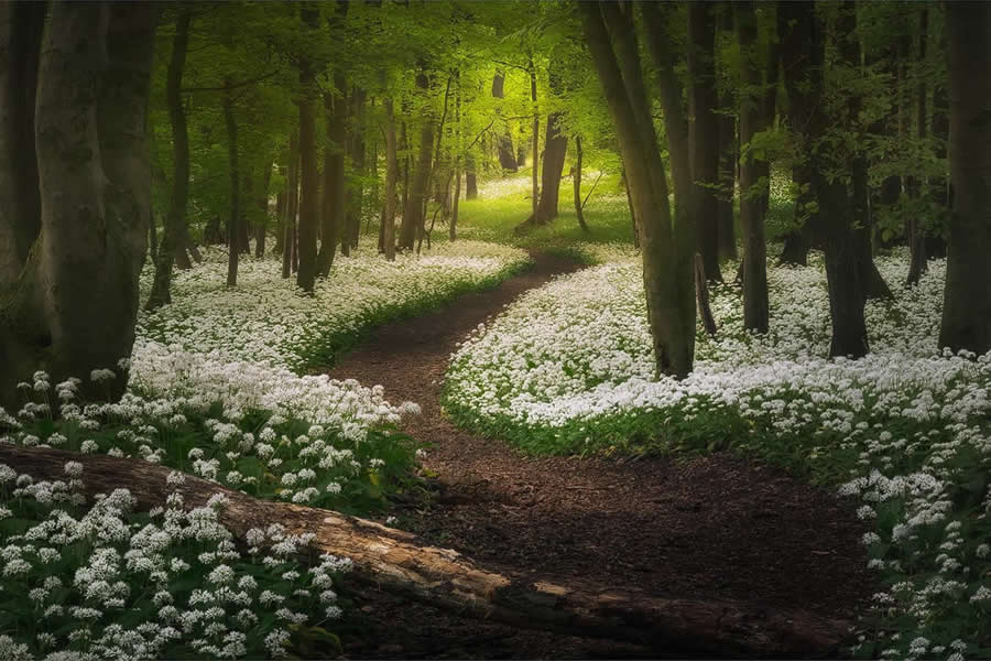 Landscape Photography by Radoslav Cernicky