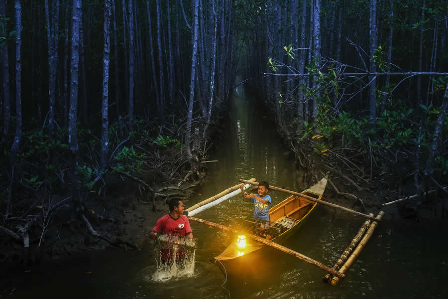 Mangrove Photography Awards 2025 Winners