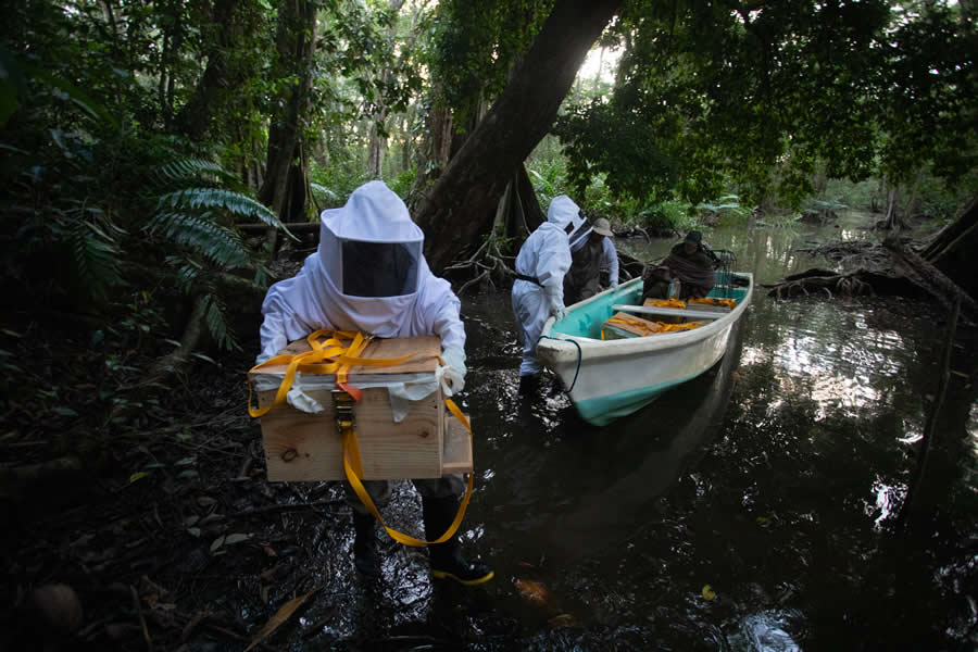 Mangrove Photography Awards 2025 Winners