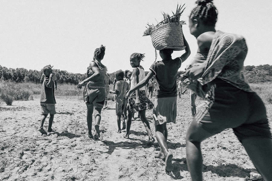 Mangrove Photography Awards 2025 Winners