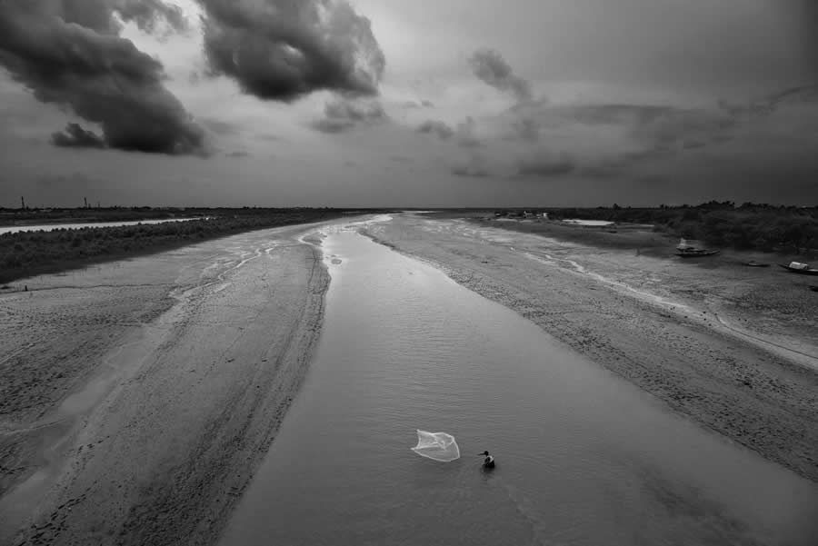 Mangrove Photography Awards 2025 Winners