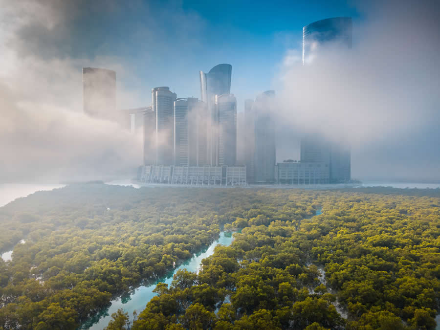Mangrove Photography Awards 2025 Winners