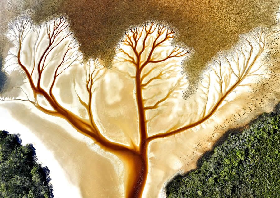 Mangrove Photography Awards 2025 Winners