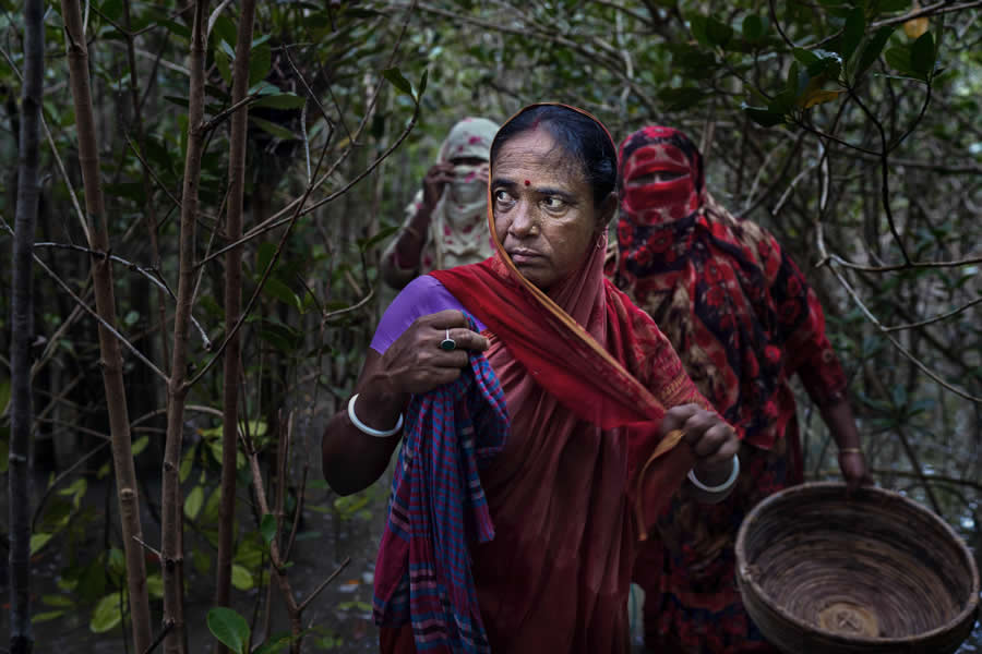 Mangrove Photography Awards 2025 Winners
