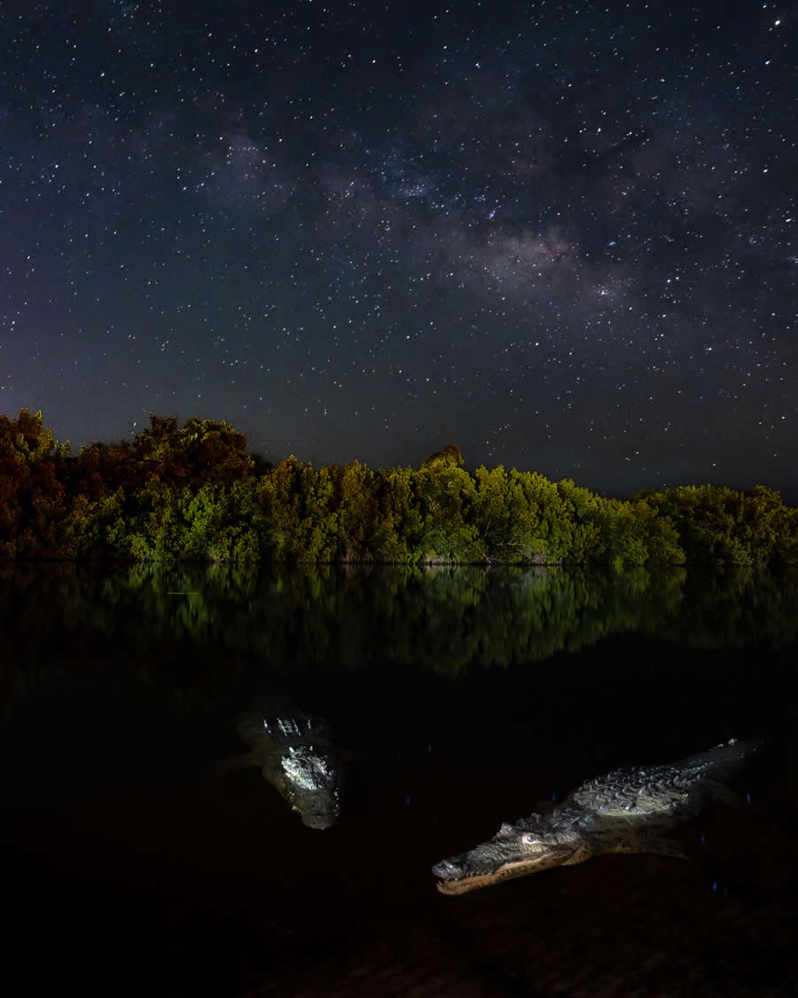 Mangrove Photography Awards 2025 Winners
