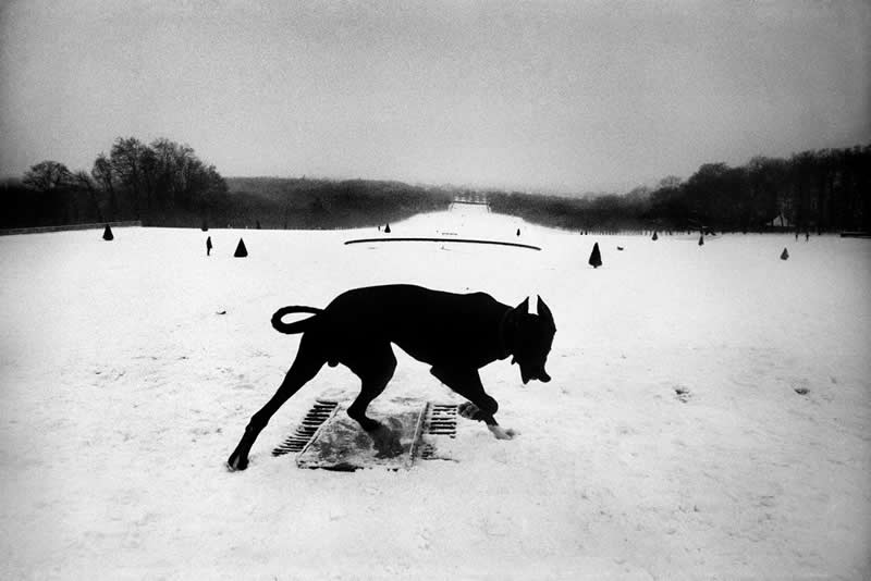 Josef Koudelka Master Photographer