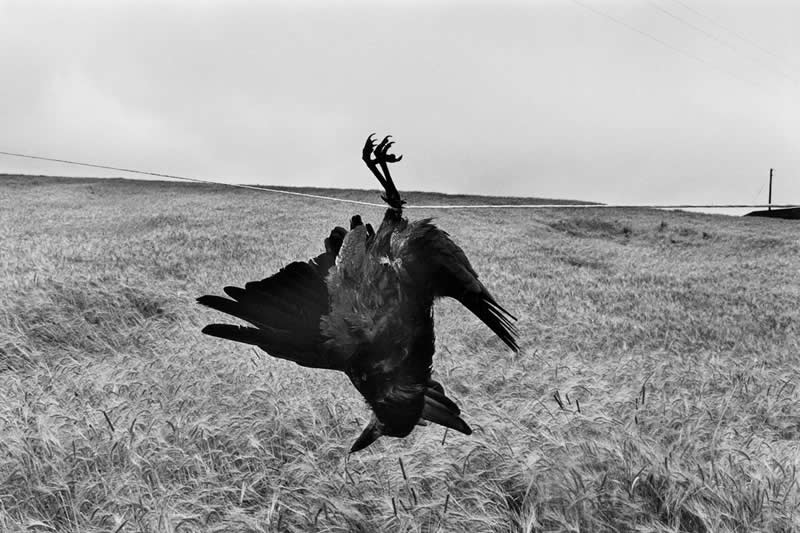 Josef Koudelka Master Photographer
