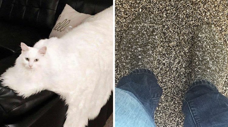 Mind-Bending Camouflage Photos That Will Make You Look Twice