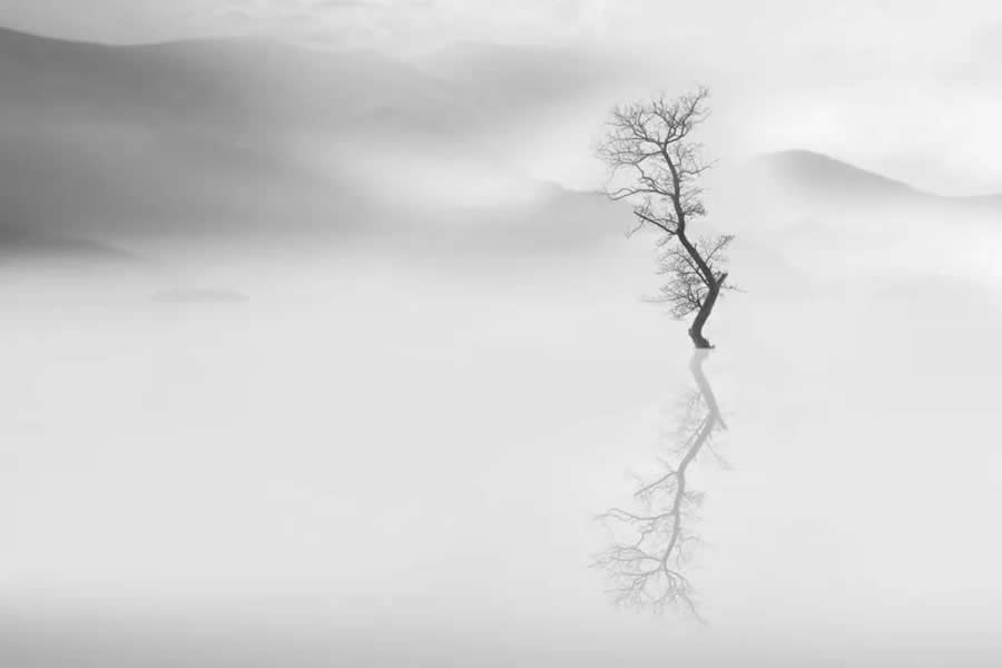 Poetic Black and White Landscapes by Mostafa Nodeh
