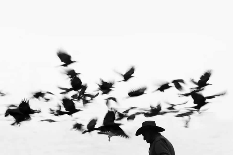 Poetic Black and White Landscapes by Mostafa Nodeh