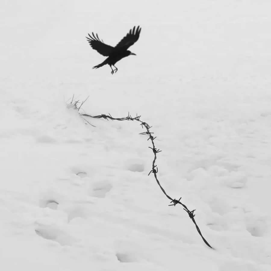 Poetic Black and White Landscapes by Mostafa Nodeh