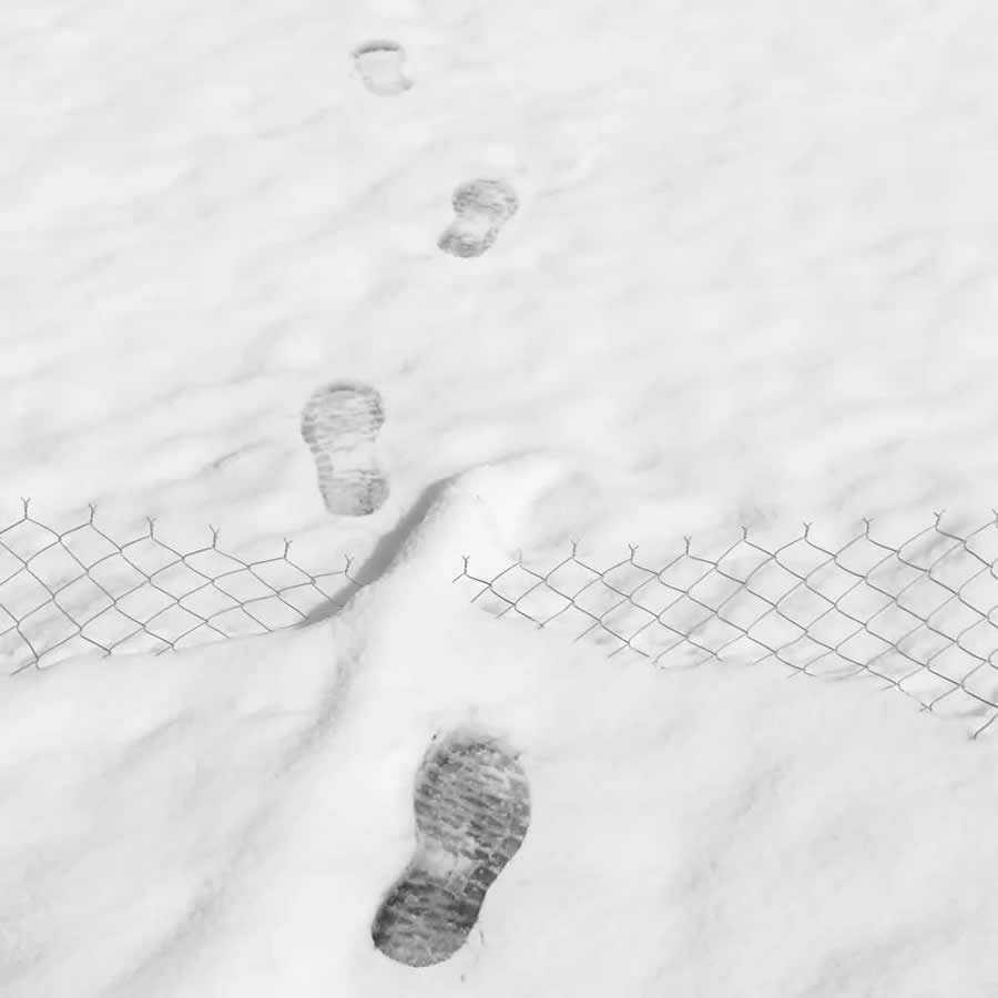 Poetic Black and White Landscapes by Mostafa Nodeh