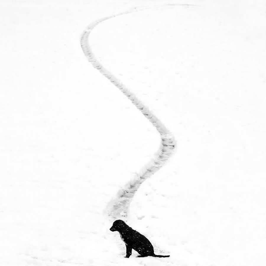 Poetic Black and White Landscapes by Mostafa Nodeh