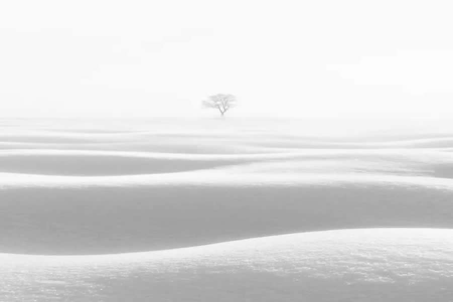 Poetic Black and White Landscapes by Mostafa Nodeh