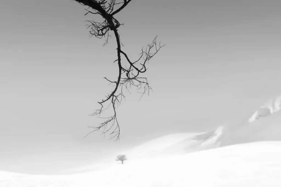 Poetic Black and White Landscapes by Mostafa Nodeh
