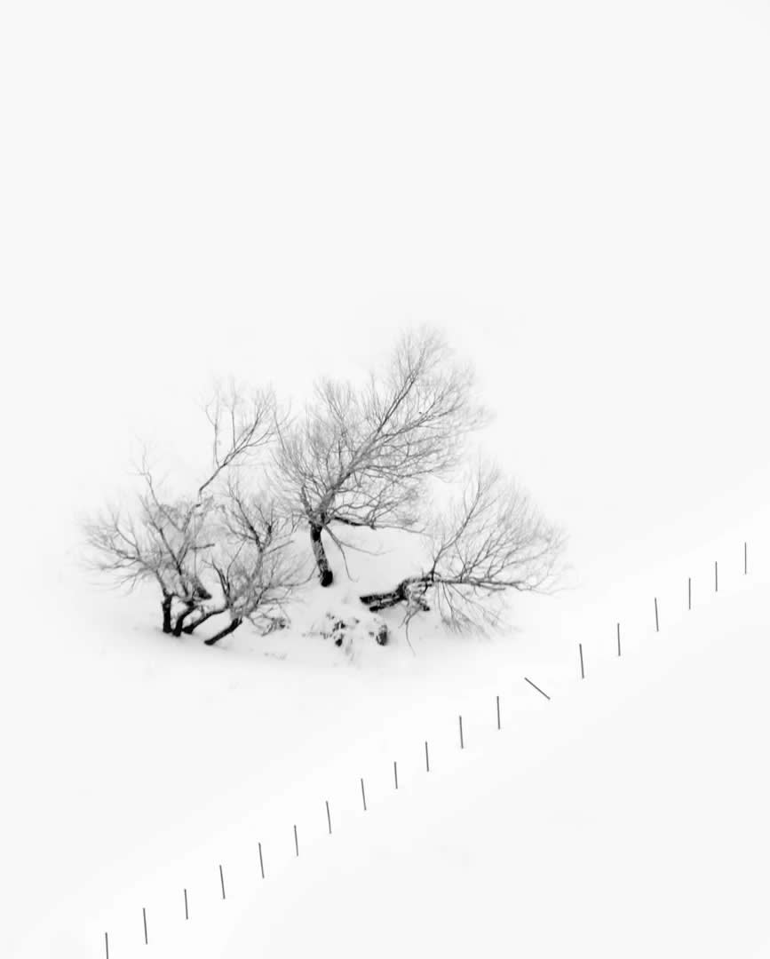 Poetic Black and White Landscapes by Mostafa Nodeh