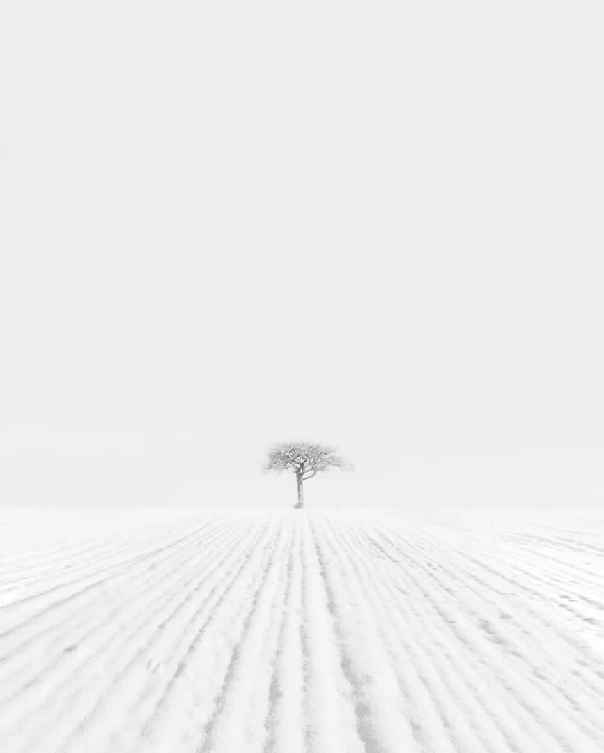 Poetic Black and White Landscapes by Mostafa Nodeh