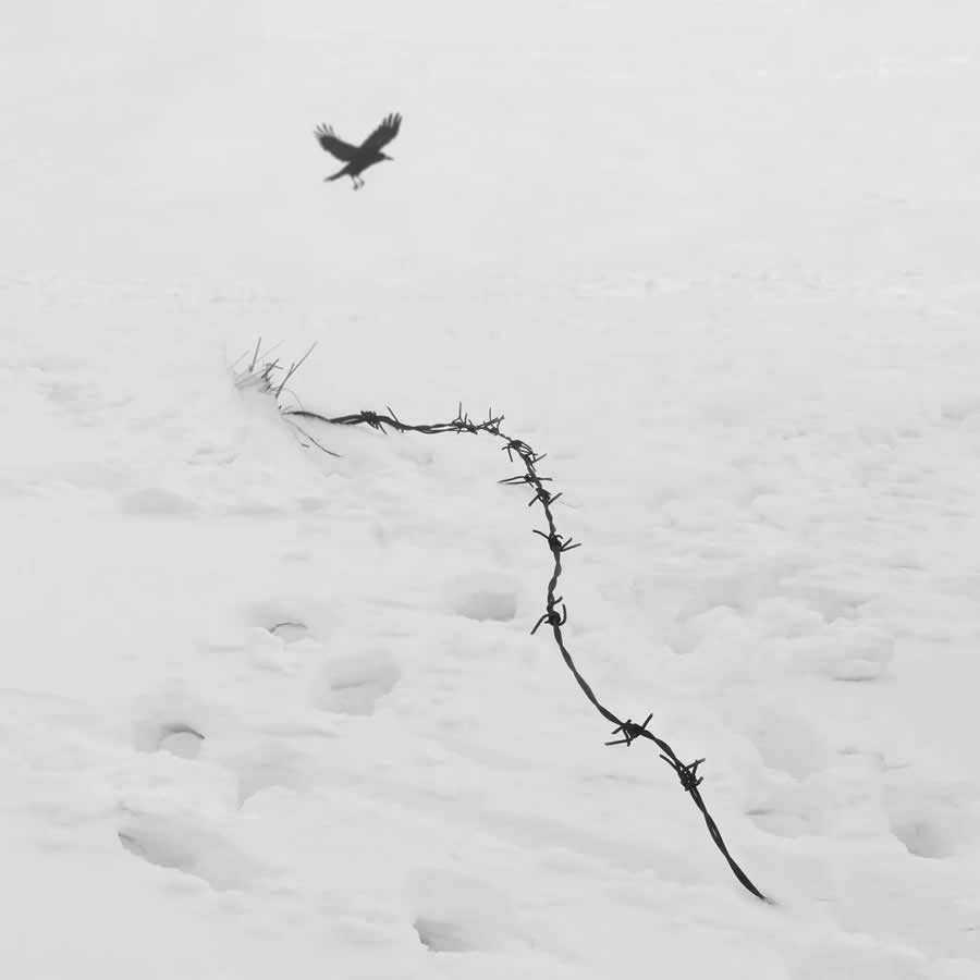 Poetic Black and White Landscapes by Mostafa Nodeh