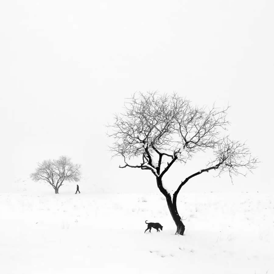 Poetic Black and White Landscapes by Mostafa Nodeh