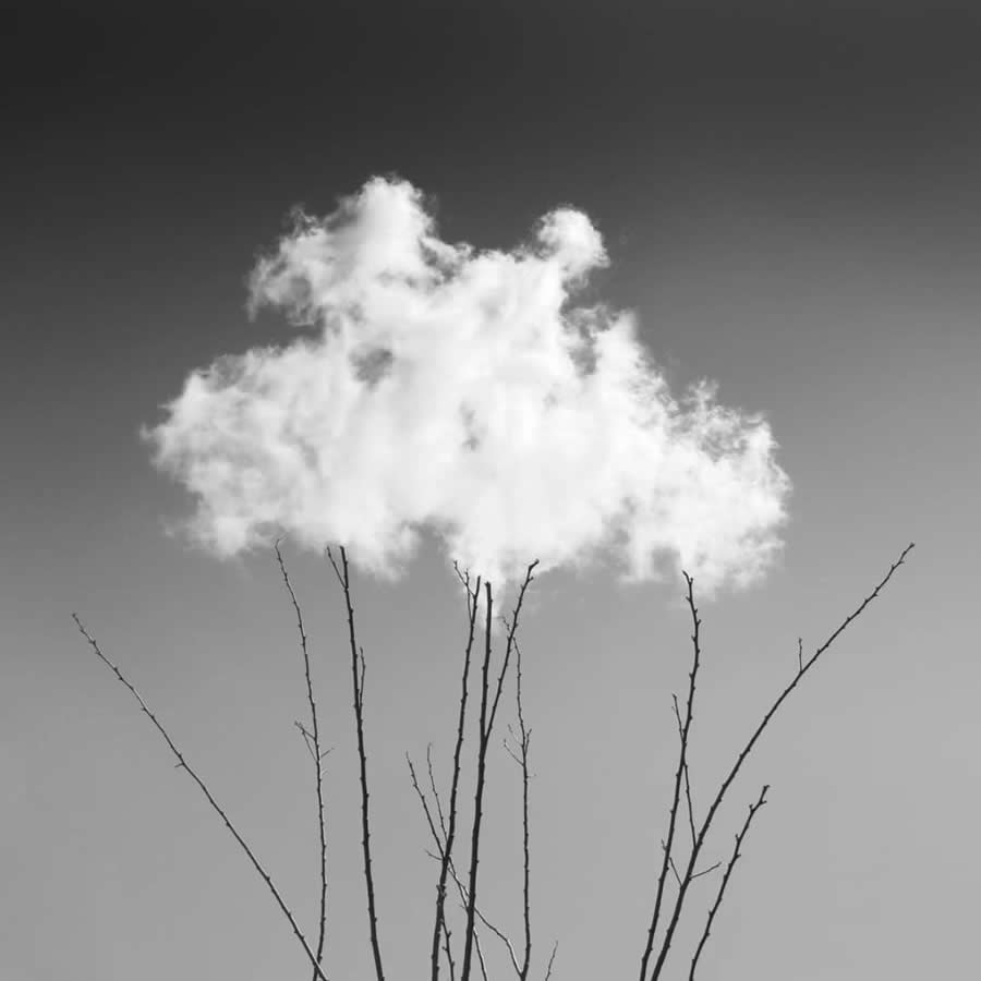 Poetic Black and White Landscapes by Mostafa Nodeh