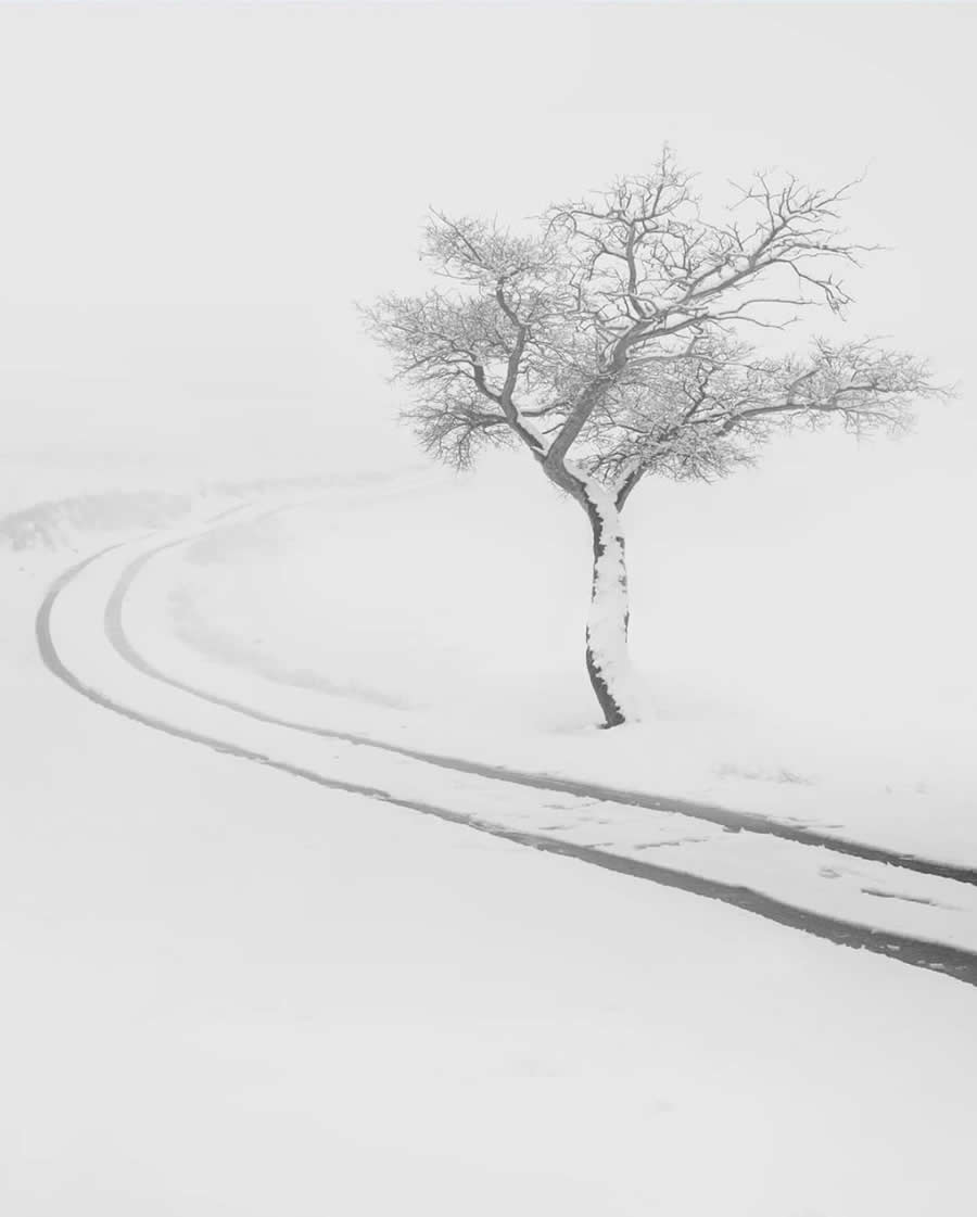 Poetic Black and White Landscapes by Mostafa Nodeh