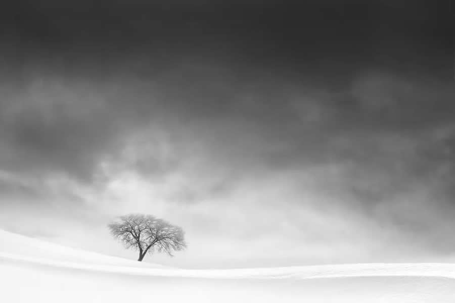 Poetic Black and White Landscapes by Mostafa Nodeh