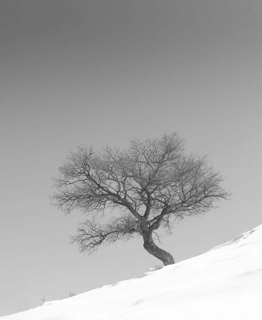 Poetic Black and White Landscapes by Mostafa Nodeh