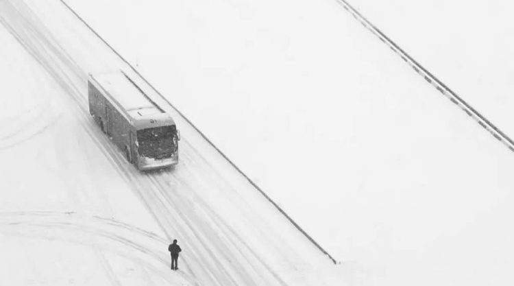 Poetic Black and White Landscapes by Mostafa Nodeh