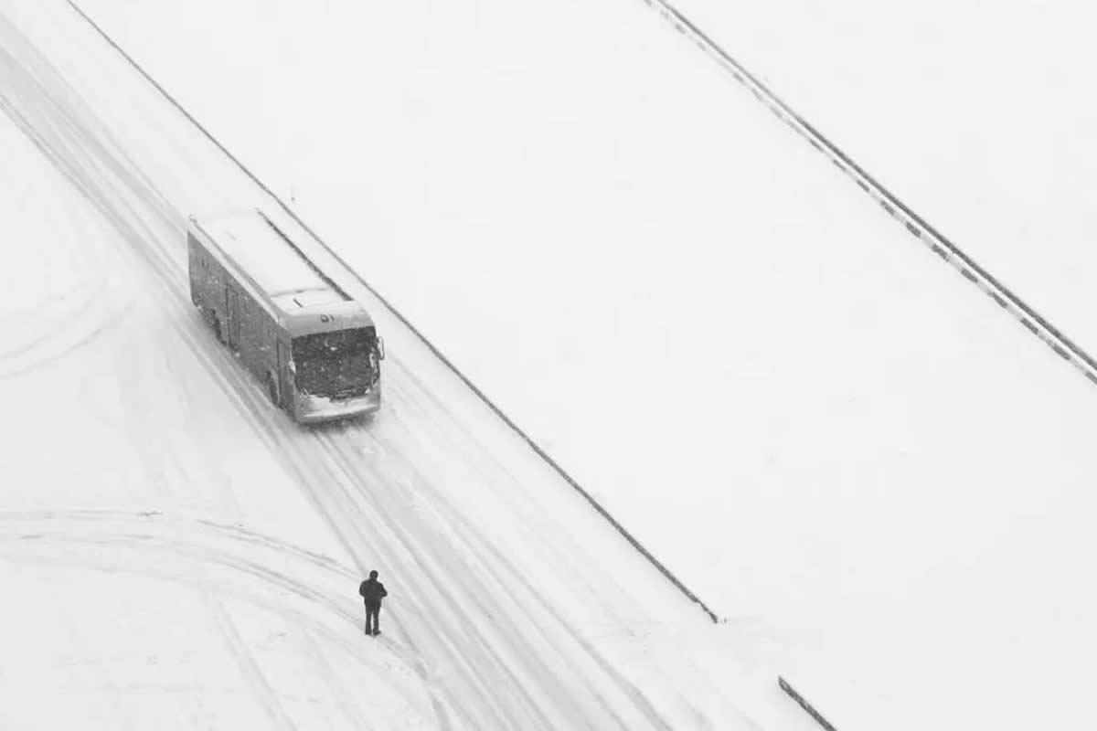 30 Poetic Black and White Landscapes by Mostafa Nodeh That Capture Nature’s Quiet Soul