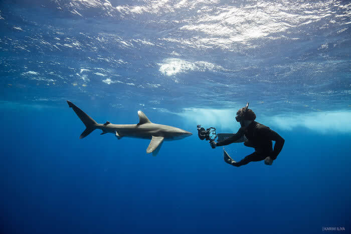 Stunning Marine Photos by Karim Iliya