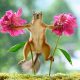 Playful Squirrel Moments Captured by Geert Weggen