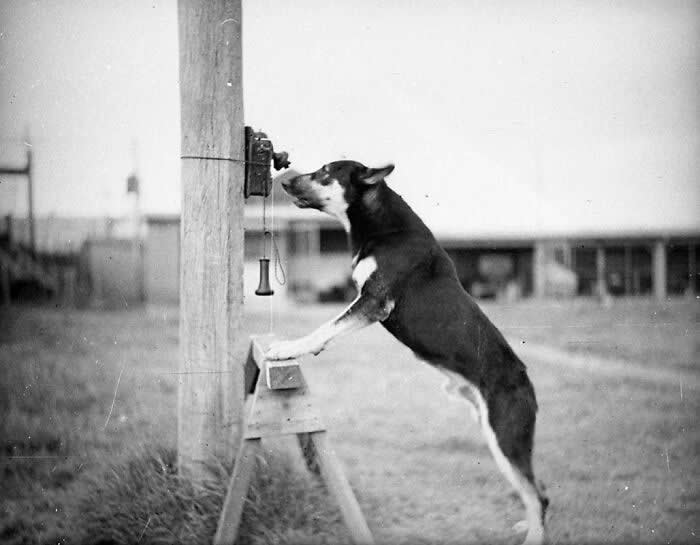 Rare Historical Photos That Change How You See the Past
