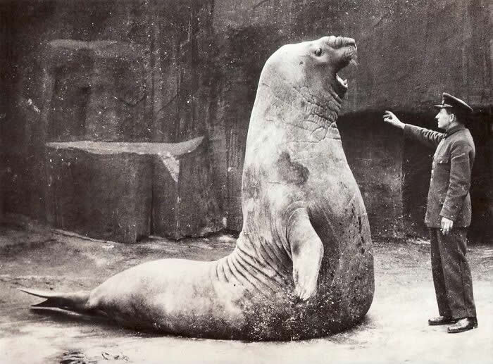 Rare Historical Photos That Change How You See the Past