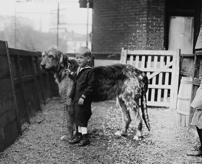 Rare Historical Photos That Change How You See the Past