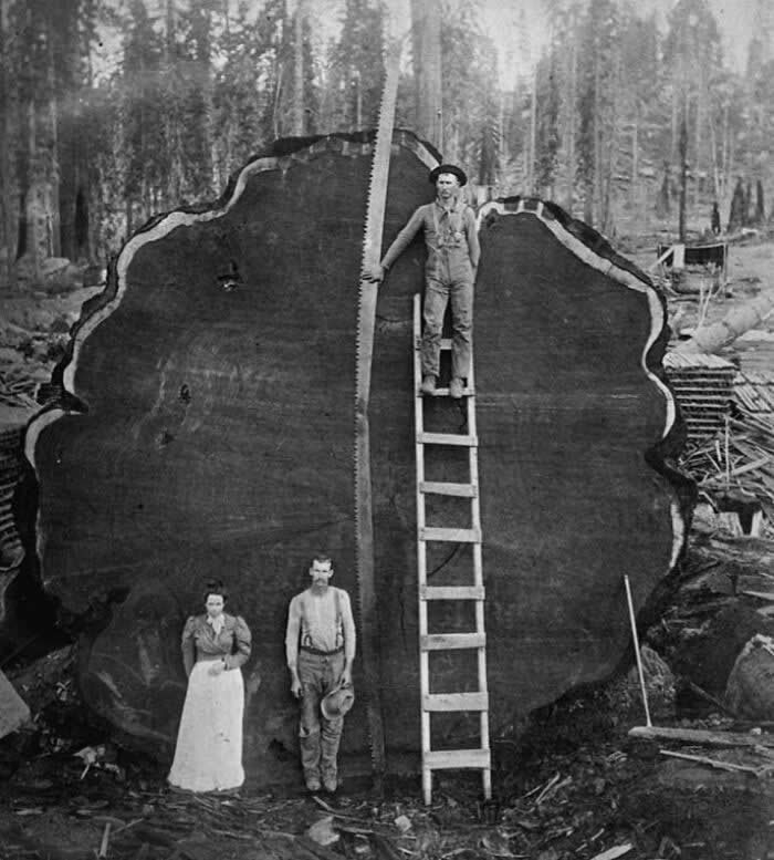 Rare Historical Photos That Change How You See the Past