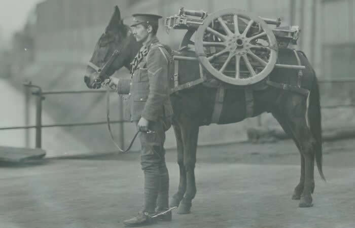 Rare Historical Photos That Change How You See the Past