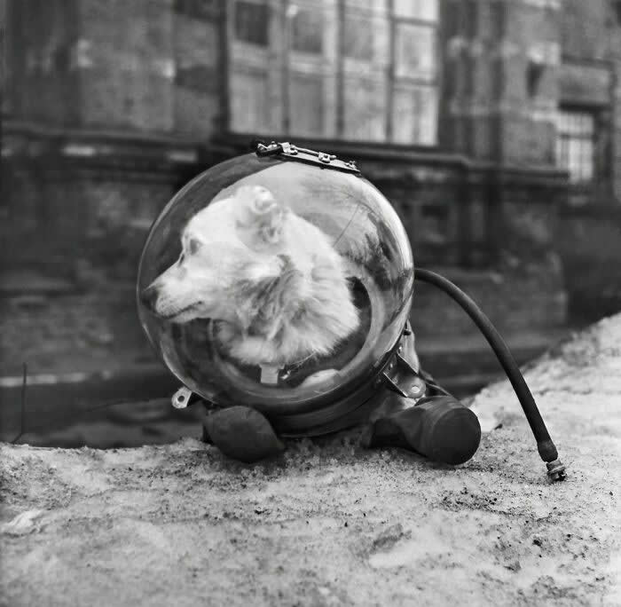 Rare Historical Photos That Change How You See the Past