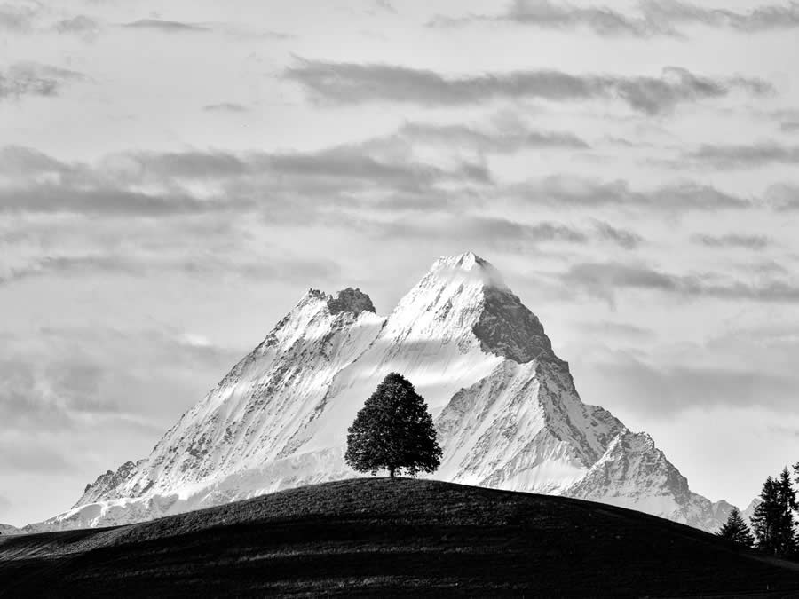 Black and White Landscape Winners 2025 reFocus Photography Awards