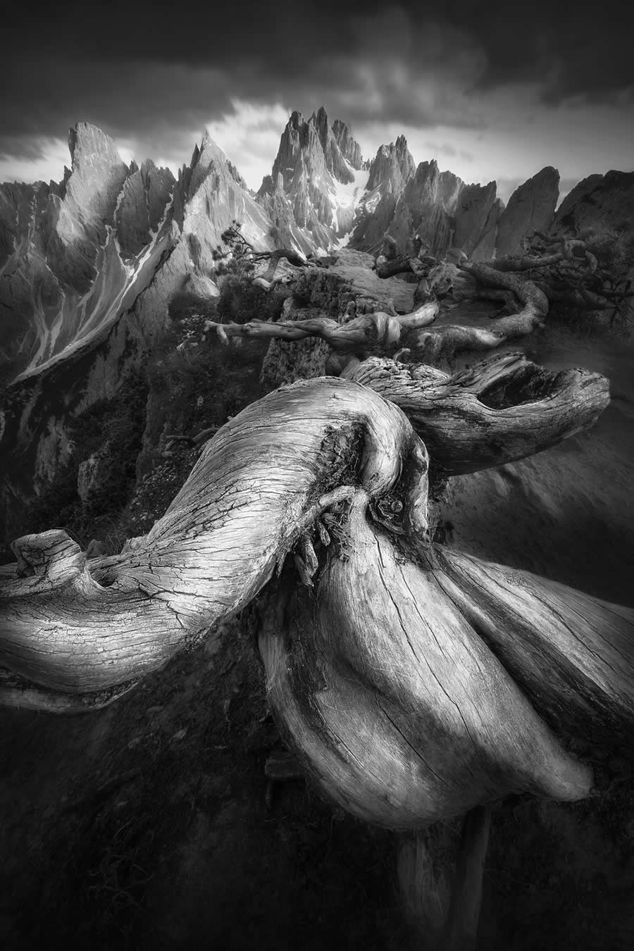 Black and White Landscape Winners 2025 reFocus Photography Awards