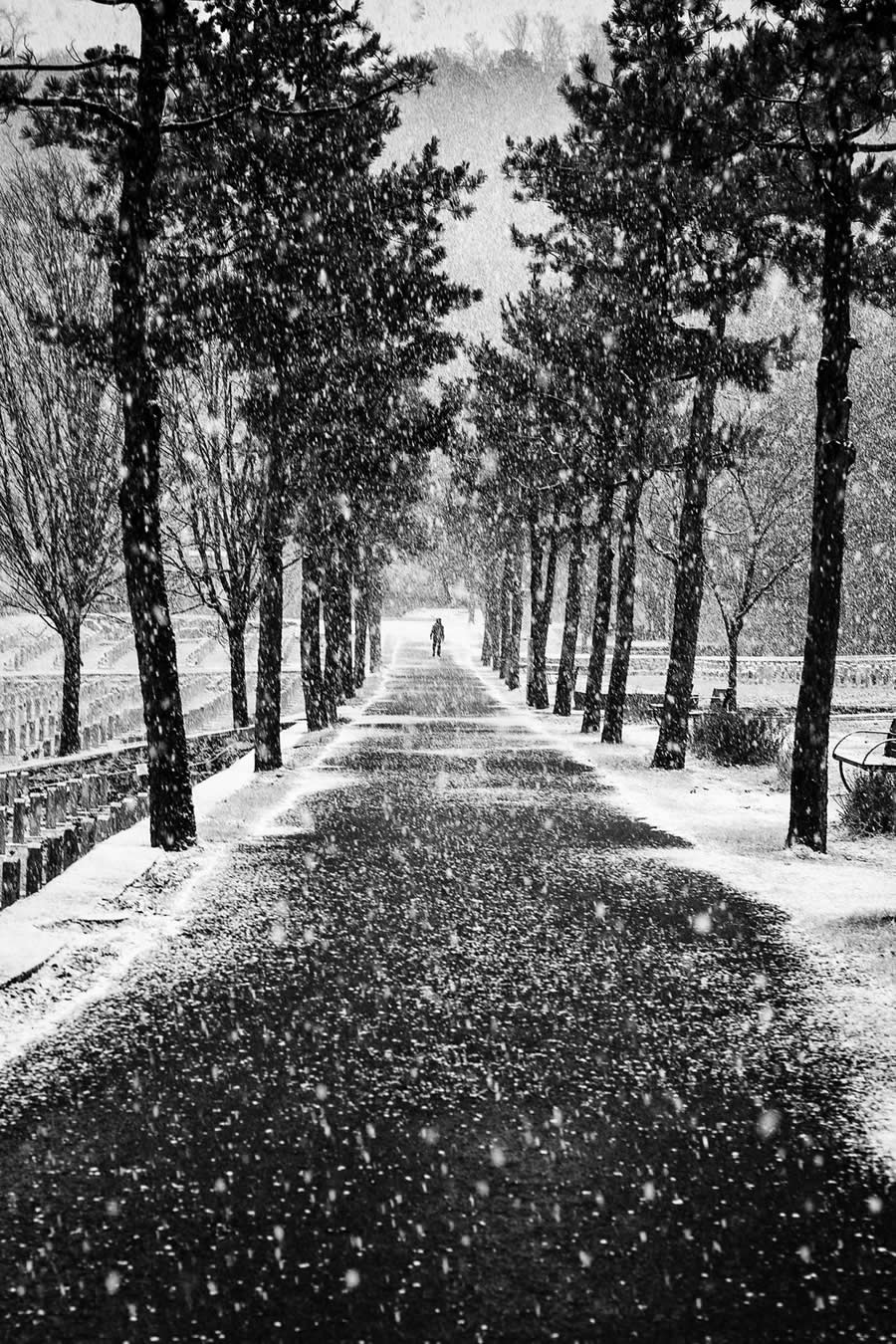 Black and White Landscape Winners 2025 reFocus Photography Awards
